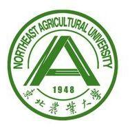ag电子