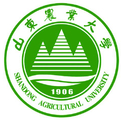 ag电子