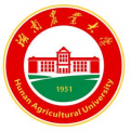 ag电子