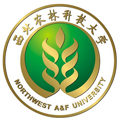 ag电子