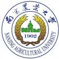 ag电子
