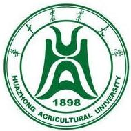 ag电子